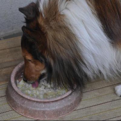 サツマイモと豚肉のやわらか粥