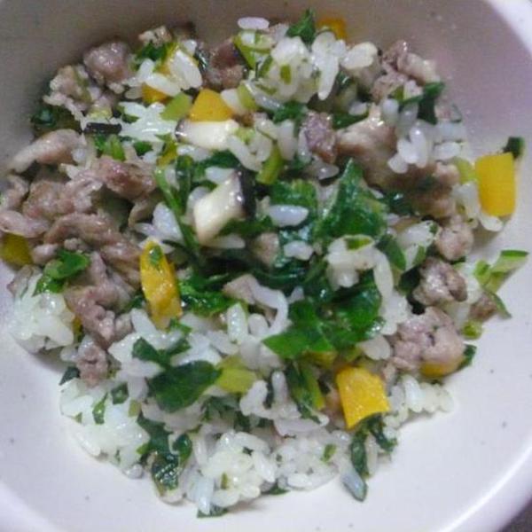 犬ご飯レシピ 小松菜チャーハン Byぽみぽみ No 2 わんわんシェフ見習い中