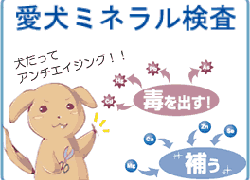 「愛犬ミネラル検査（わんシェフ割引あり）