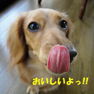 WANバーグ♪