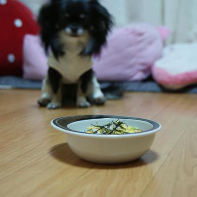 ちらし寿司