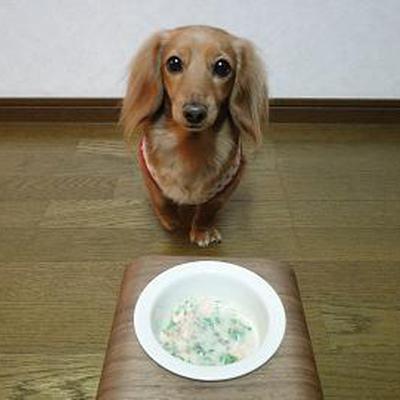 鮭と菜の花の豆乳シチュー♪