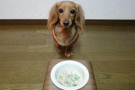 食べてもいいでしゅか？