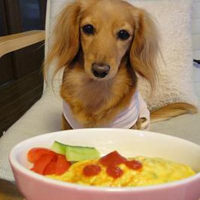 わんわんオムレツ♪