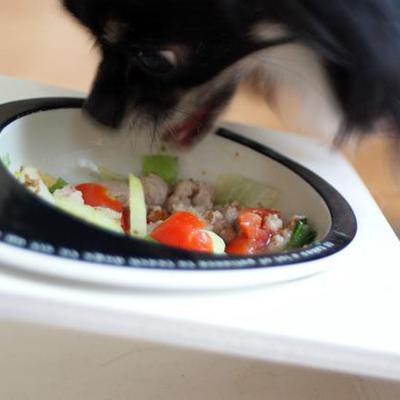 おさかなボール