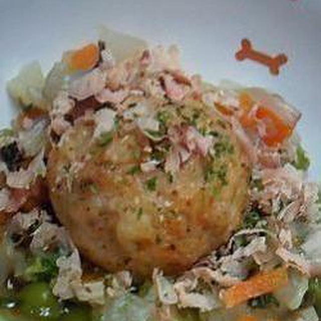 犬ご飯レシピ たこ焼き Byneco No 393 わんわんシェフ見習い中