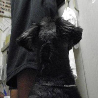 磯の香りご飯