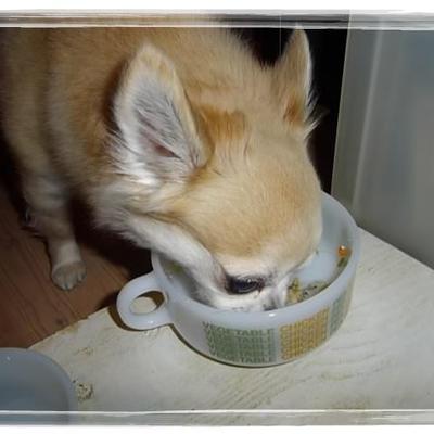 鮭のムニエル定食
