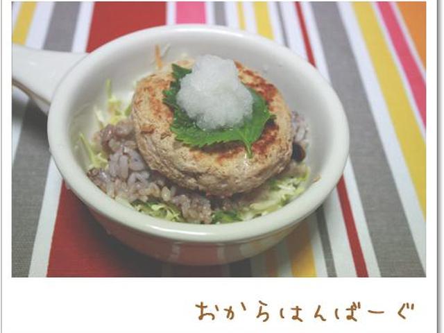 犬ご飯レシピ 一緒に作る おからハンバーグ By犬ごはん先生 いちかわあやこ No 466 わんわんシェフ見習い中