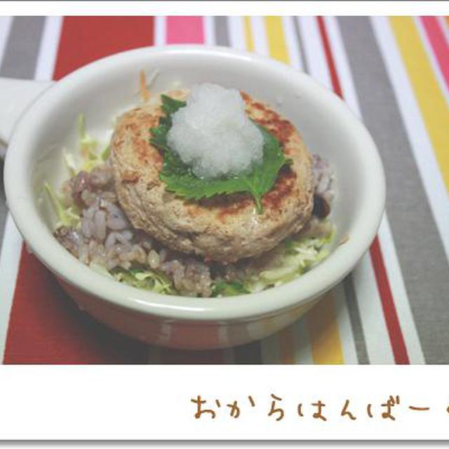 犬ご飯レシピ 一緒に作る おからハンバーグ By犬ごはん先生 いちかわあやこ No 466 わんわんシェフ見習い中