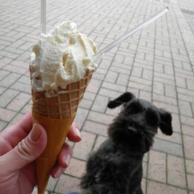 夏の定番！枝豆！