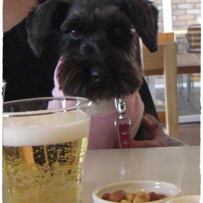 鯖ごはん