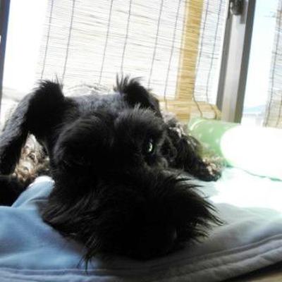 栄養タップリ。ヤギミーおじや