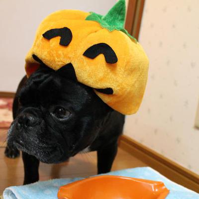 ハロウィンバーグ