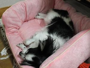 オセロまま