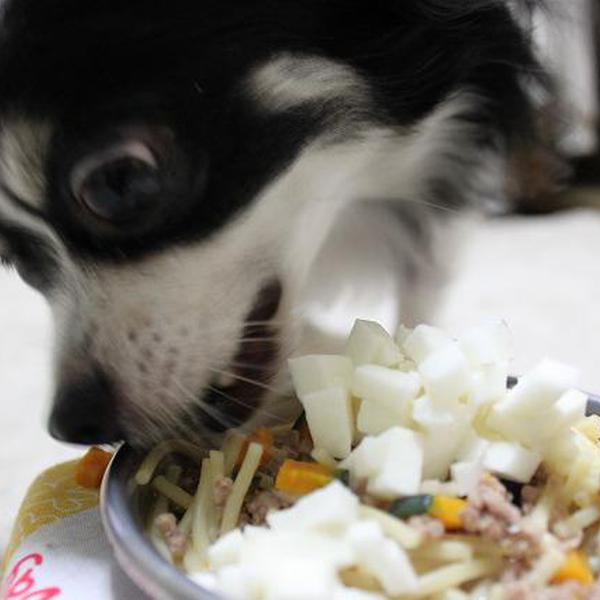 犬ご飯レシピ かぼちゃのスープパスタ Byオセロまま No 604 わんわんシェフ見習い中