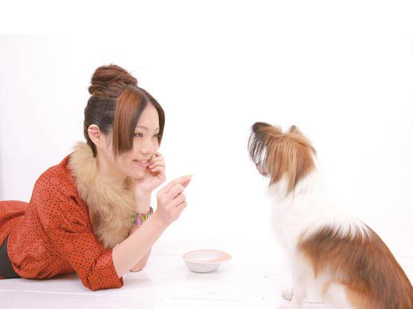 犬ごはん先生 いちかわあやこ