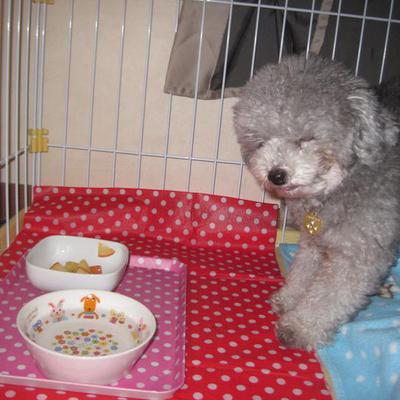 あったかハチミツりんご