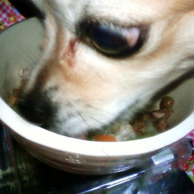 ポカポカつみれ汁♪