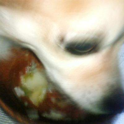 ほっこリ雑炊♪
