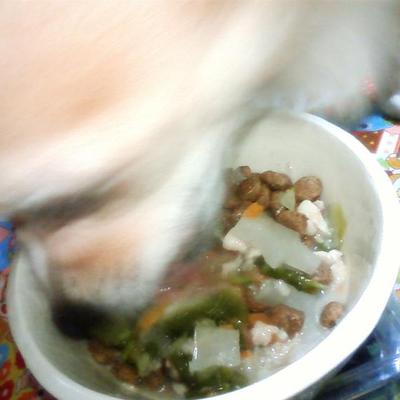 燻リ!!薫リ!!かつお君♪