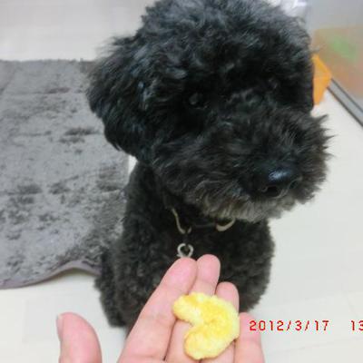 米粉クッキー