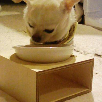 にょし飯