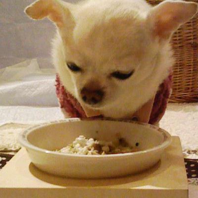 にょし飯