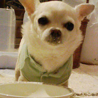 にょし飯