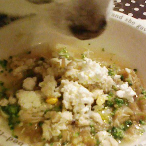 犬ご飯レシピ 作り置きで手早くご飯 Byにょしちゃん わんわんシェフ見習い中