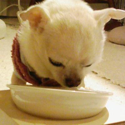 抗酸化を目指したご飯