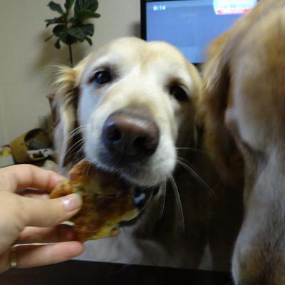 ほるもん　と　じゃがいもの焼きコロッケ風