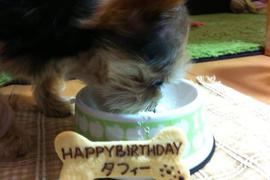 誕生日ケーキ！すっごい食いつきでした♪