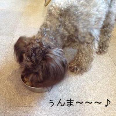 お野菜と玄米リゾット