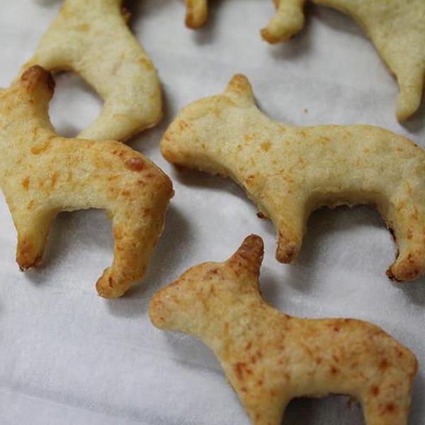 犬ご飯レシピ おからタップリ Buhiクッキー Byサチ わんわんシェフ見習い中