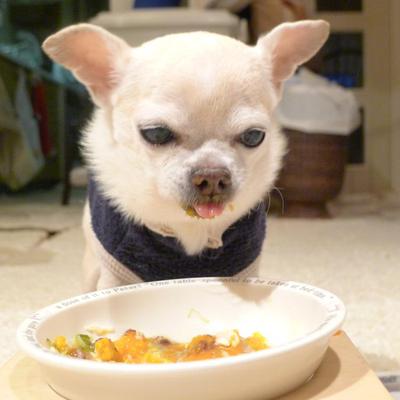 冬至のごはん