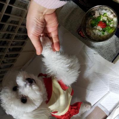 きのこリゾット、バースディバージョン