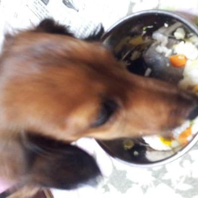 ポトフおすそ分けリゾット