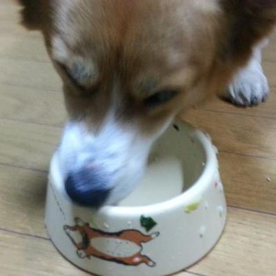 切り干し大根と豆腐のご飯
