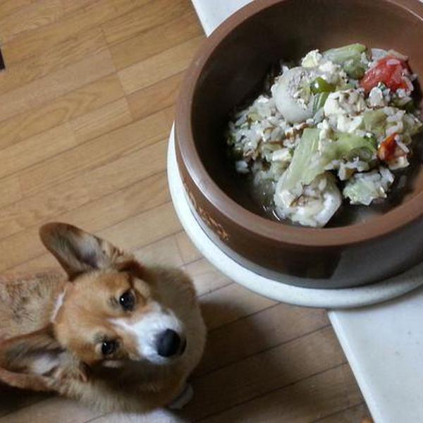 残り野菜と煮干粉の間に合わせメシ