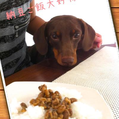 シンプルすぎる納豆ご飯