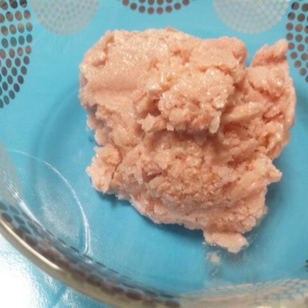 犬ご飯レシピ 飼主と一緒に いちごアイス No 960 わんわんシェフ見習い中