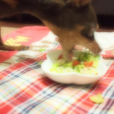 サラダうどん