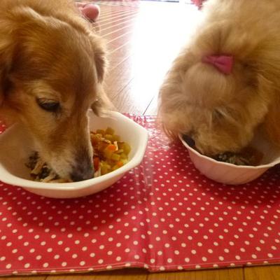 簡単！涙やけ改善定食☆