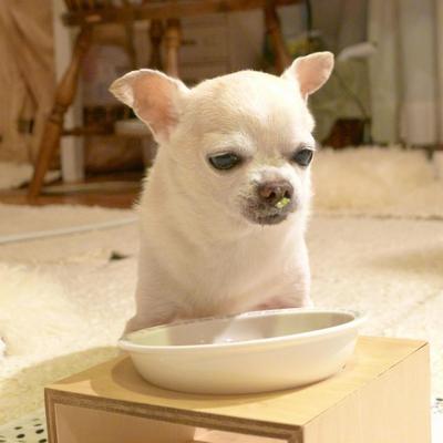 話題の栄養素がいっぱい夏野菜のごはん