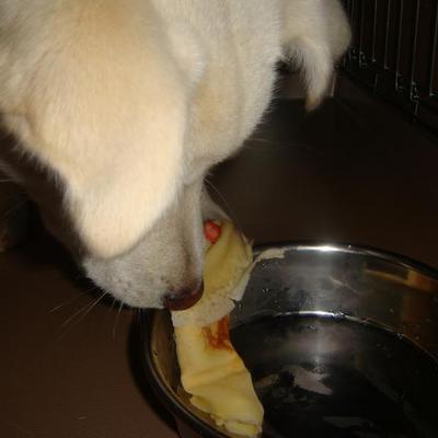犬も人間も食べれるクレープ