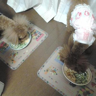 わんこフレンチトースト