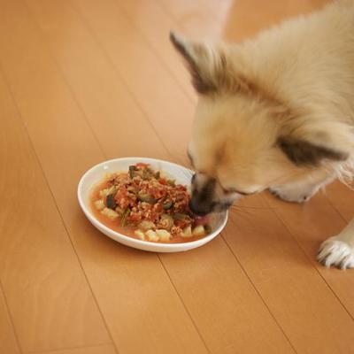 トマトのキーマカレー風とじゃがいものナン