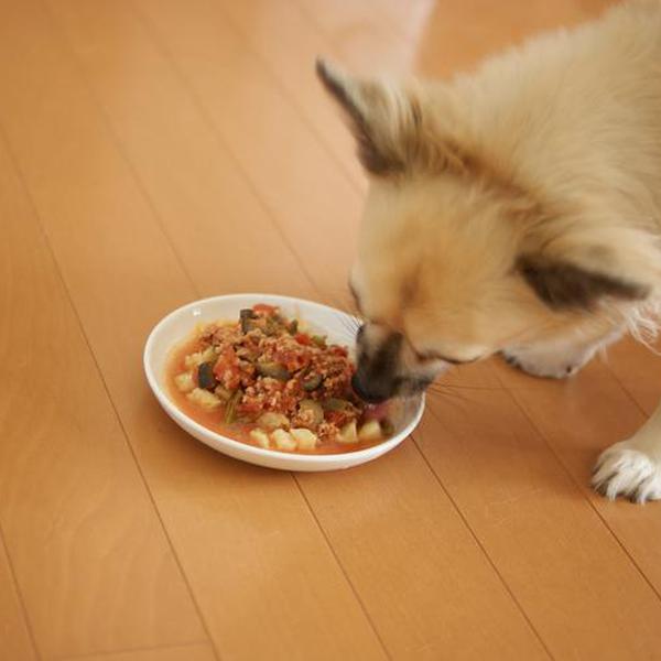 犬ご飯レシピ トマトのキーマカレー風とじゃがいものナン Byずぼら No 1037 わんわんシェフ見習い中