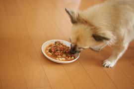 今日も完食☆